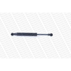 Αμορτισέρ Καπό Monroe ML5389 για Fiat Multipla (186_) 4.99 - 6.10