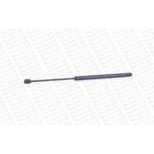 Αμορτισέρ Μπαγκάζ Monroe ML5867 για Hyundai I10 (Pa) 12.07 - 12.13